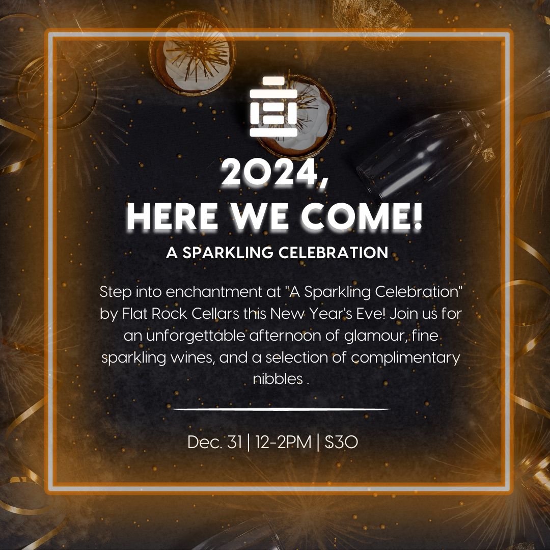 2024, HERE WE COME! A Sparkling Celebration