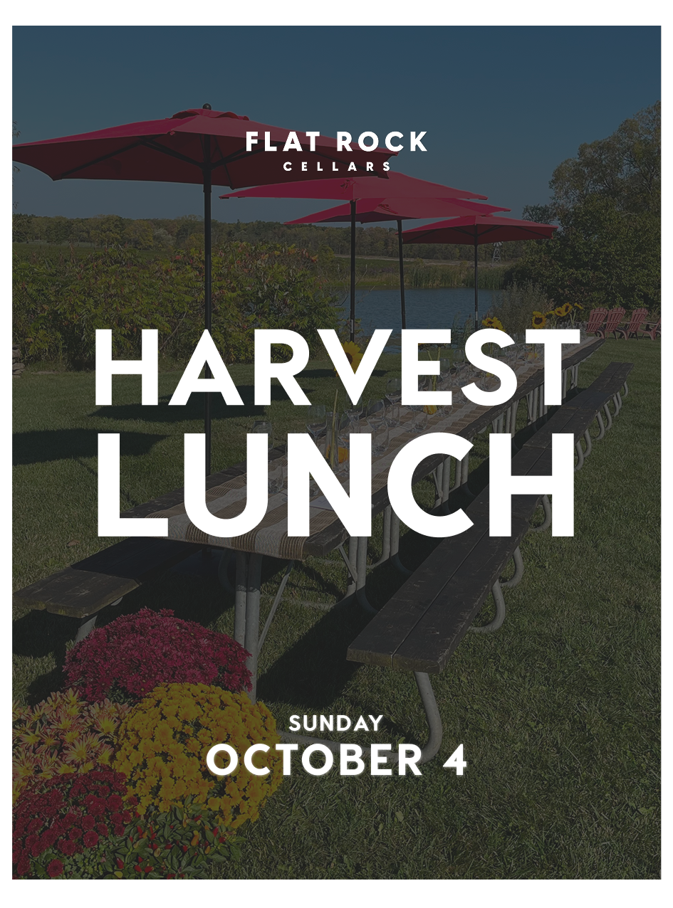 Harvest Lunch